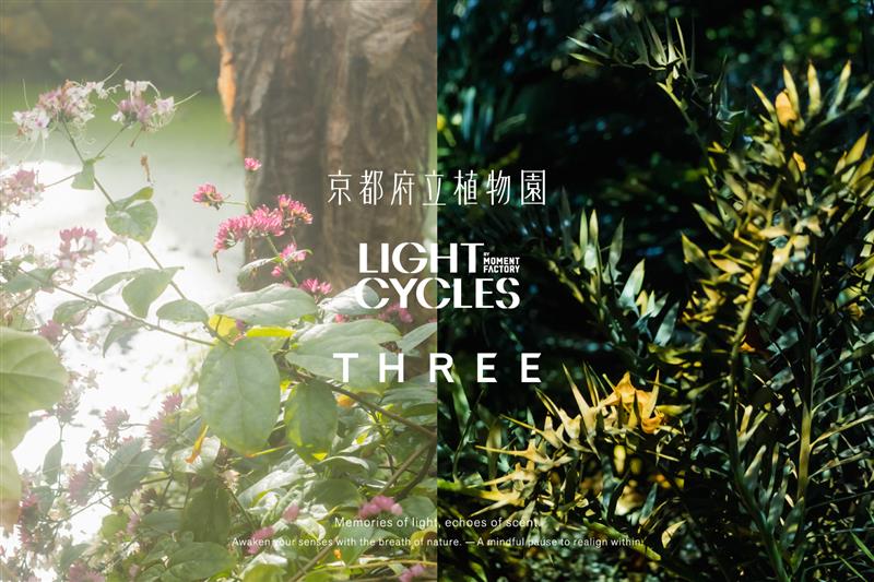 【京都府立植物園】LIGHT CYCLES KYOTO「春待ちのイルミネーション」2/13開始。夜の森を彩る光と香りの没入体験